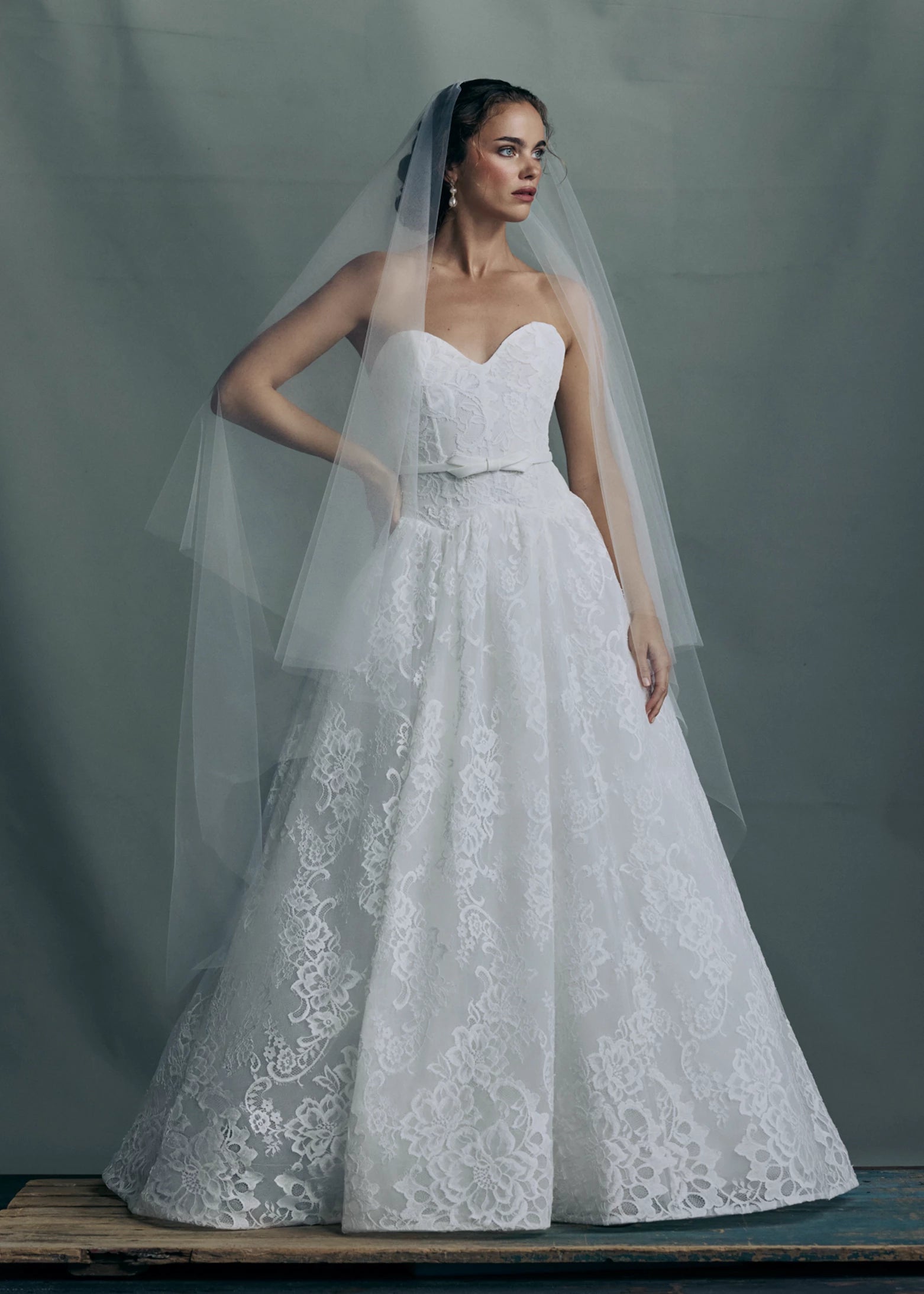The Albertine gown by Anne Barge is a sculpted sweetheart strapless ballgown in Chantilly lace, featuring a ziggurat dropped waist and buttons to the hem in Silk White.