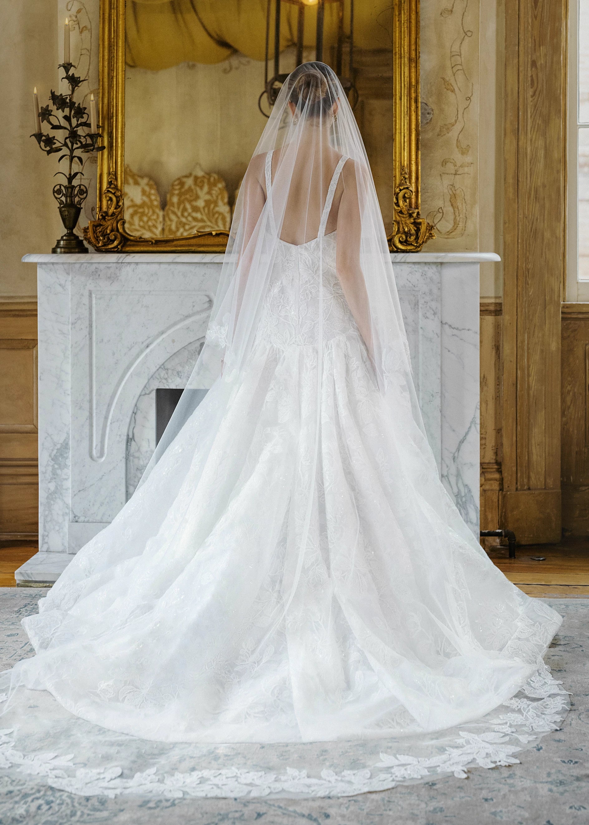 veil for a line dress Audubon Veil