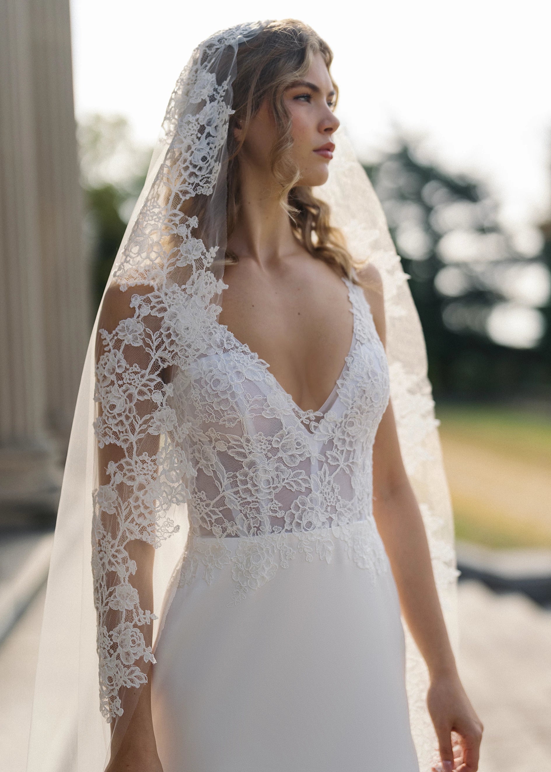 Carlton Veil