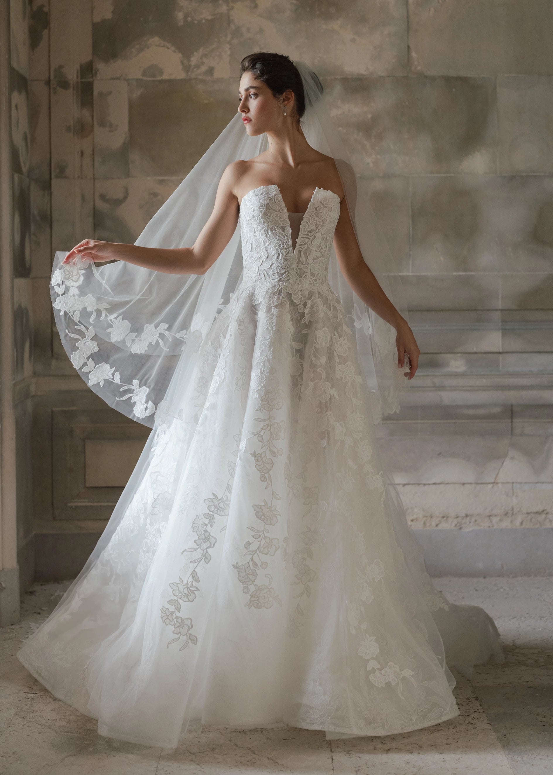 Penrose Veil