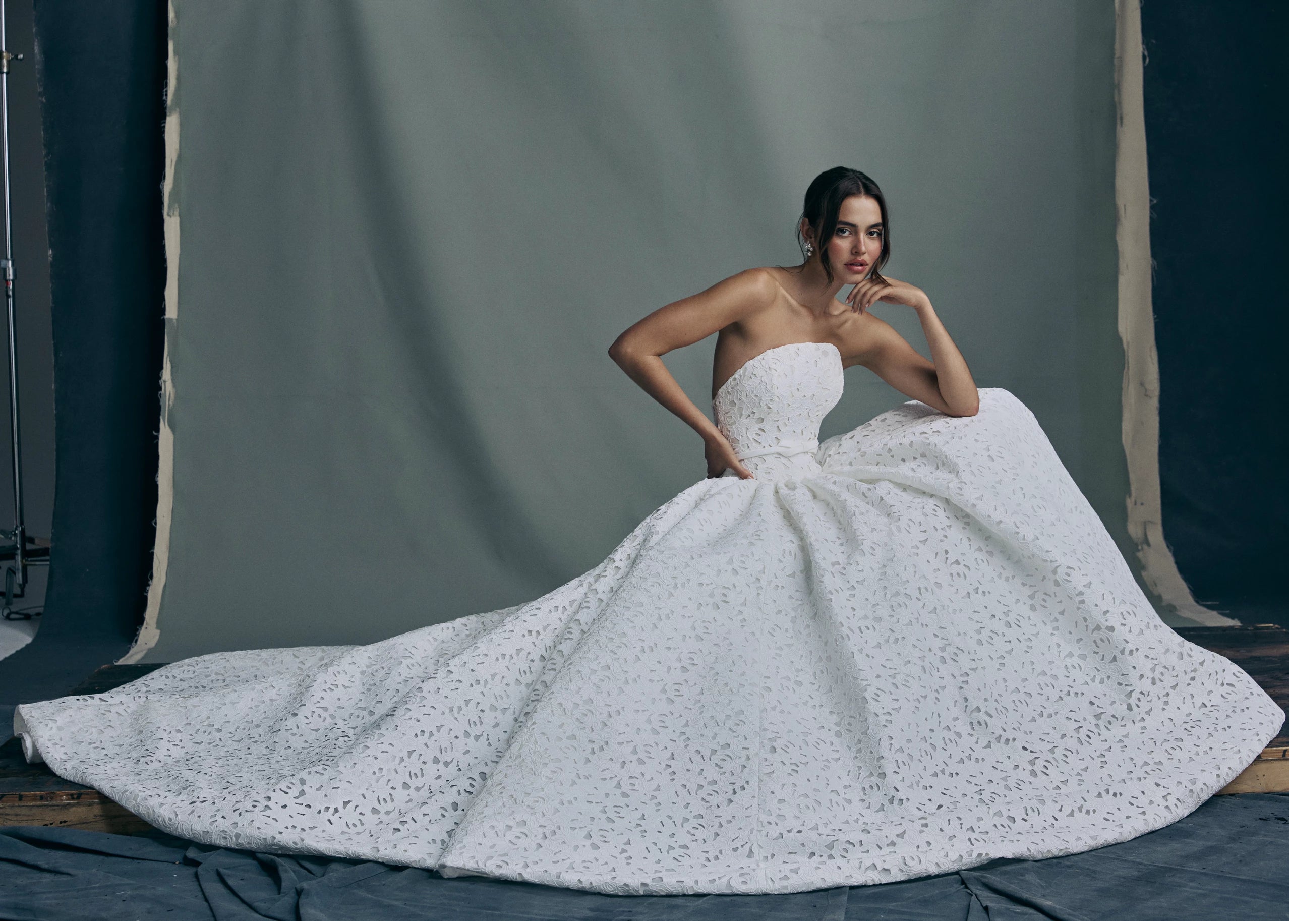 The Charlene gown by Anne Barge is an arched strapless gown in Embroidered Rose Laser Cut Satin with slightly dropped waist and gathered ballgown skirt in Silk White.