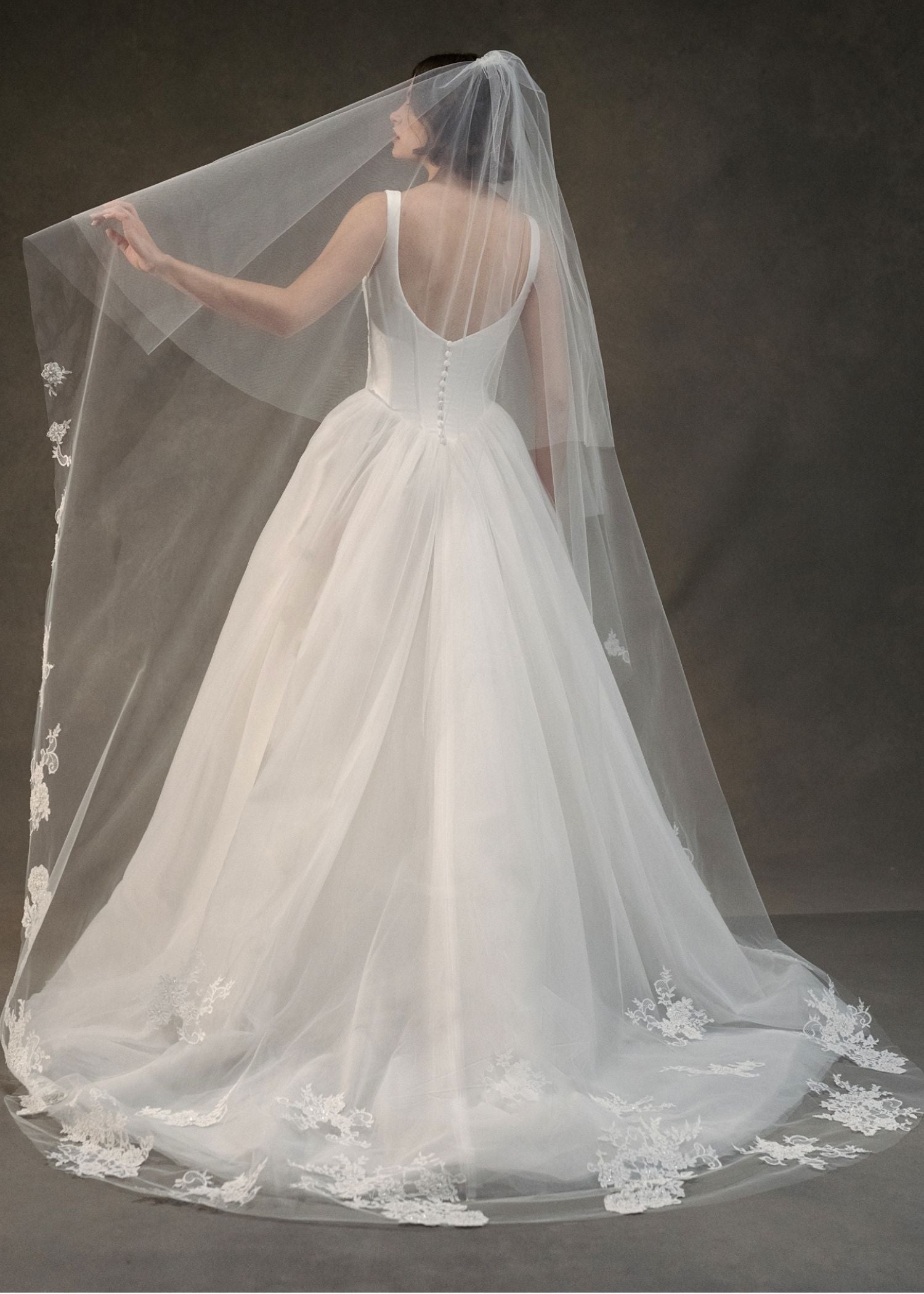 Erivo Veil