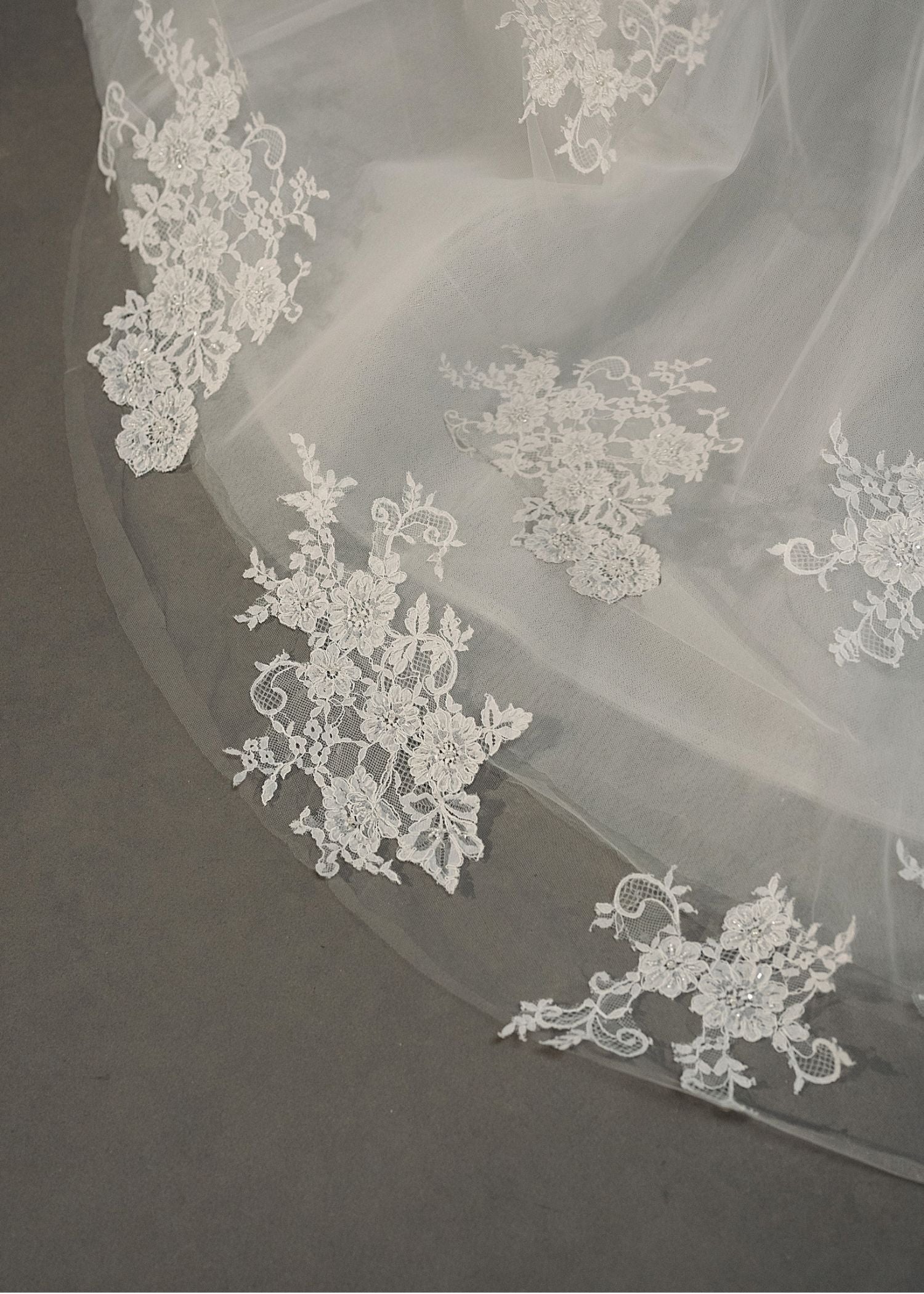 Erivo Veil