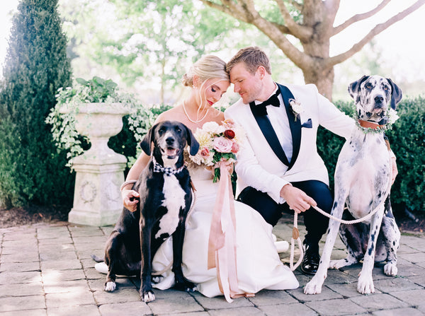 Anne Barge Bride Walks Down The Aisle With Her Rescue Dog