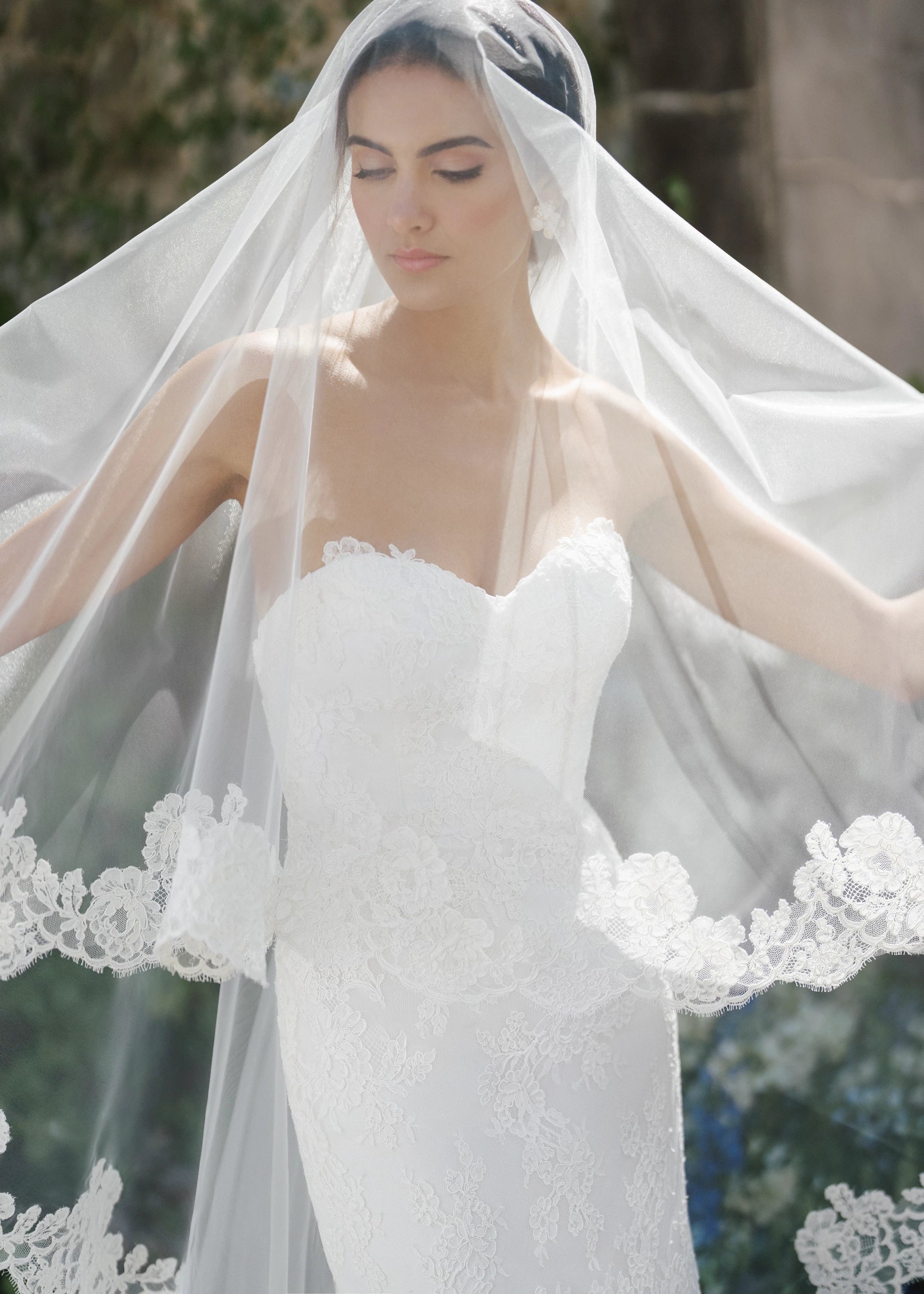 Lovett Veil
