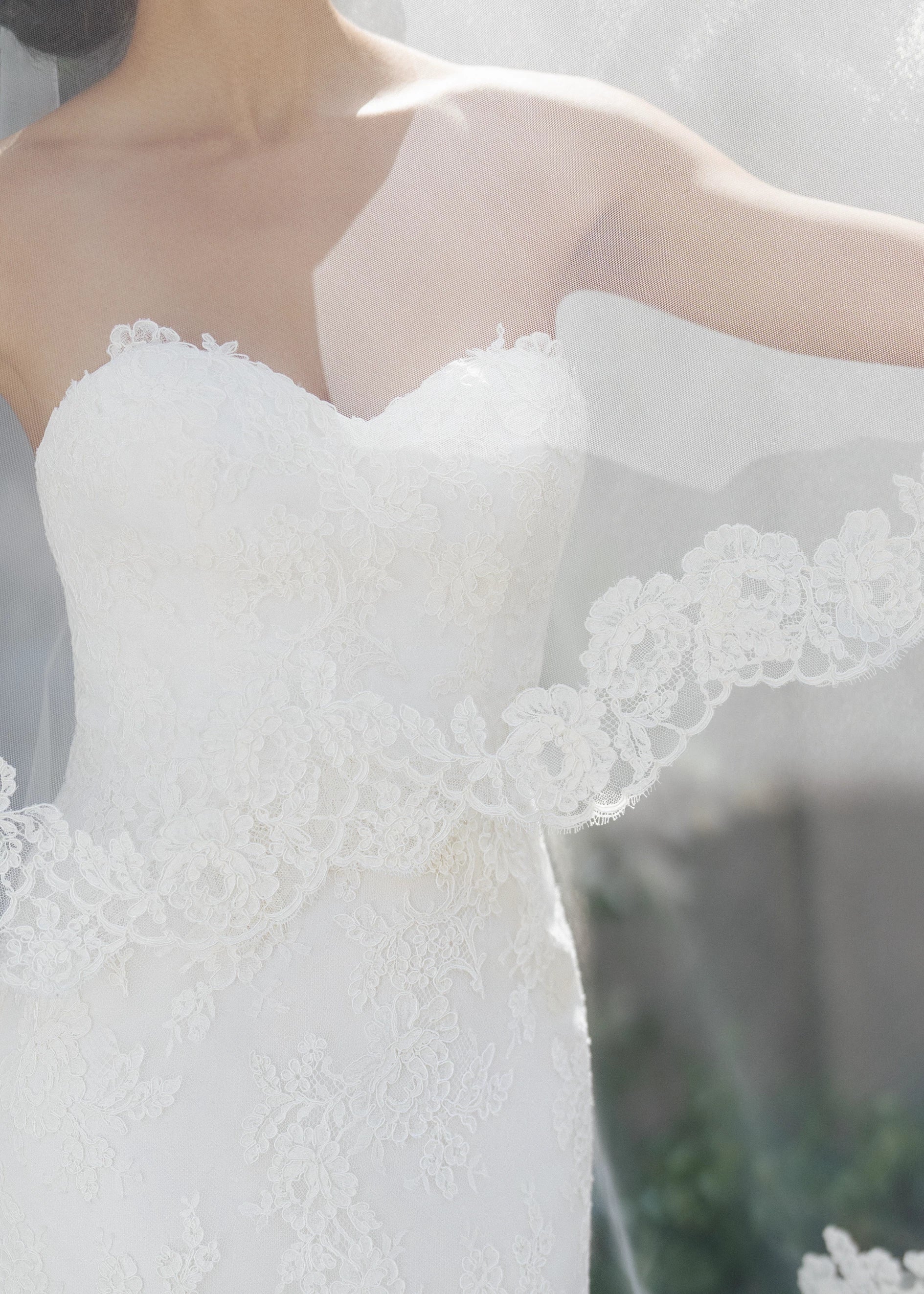 Lovett Veil