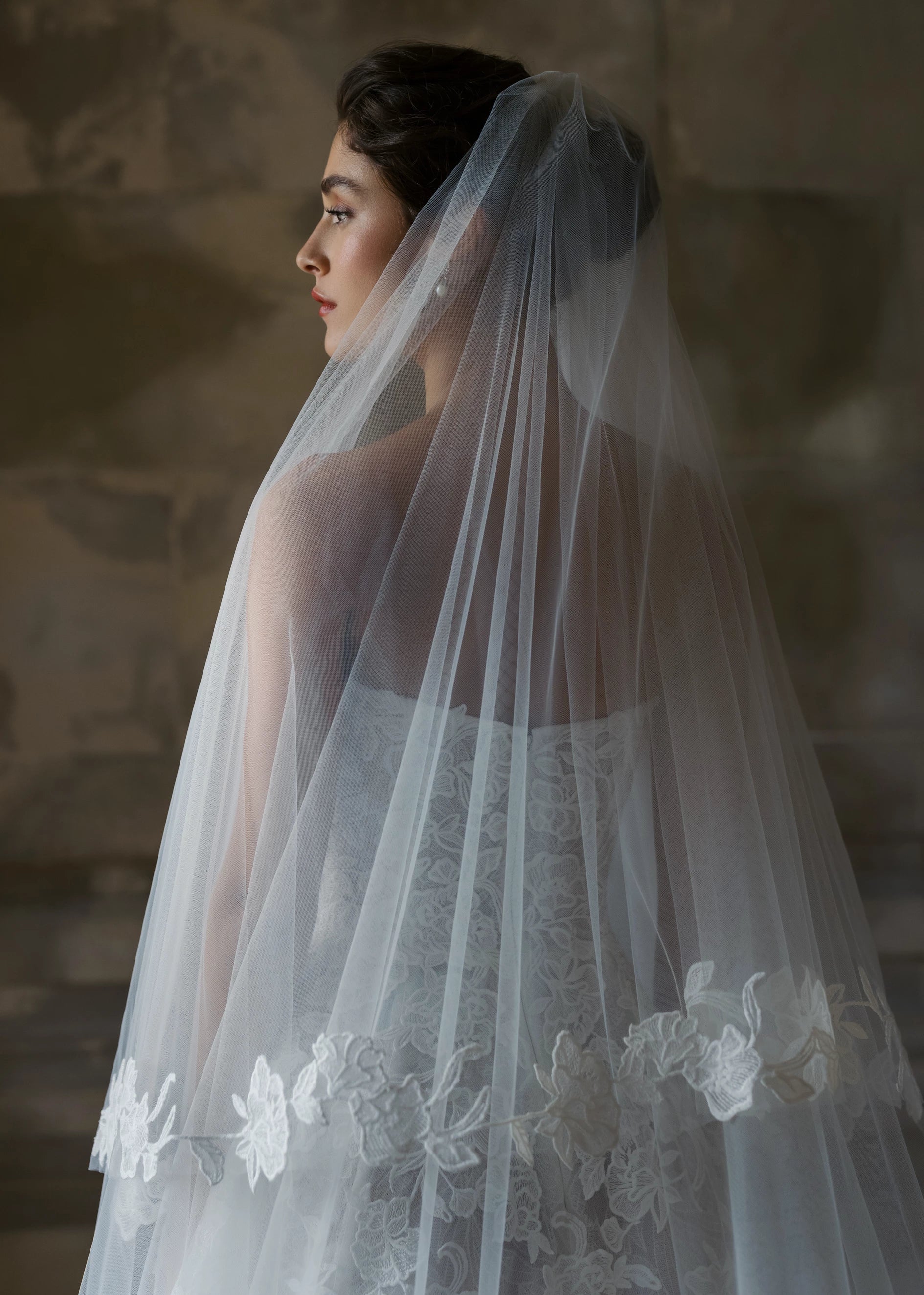 Penrose Veil