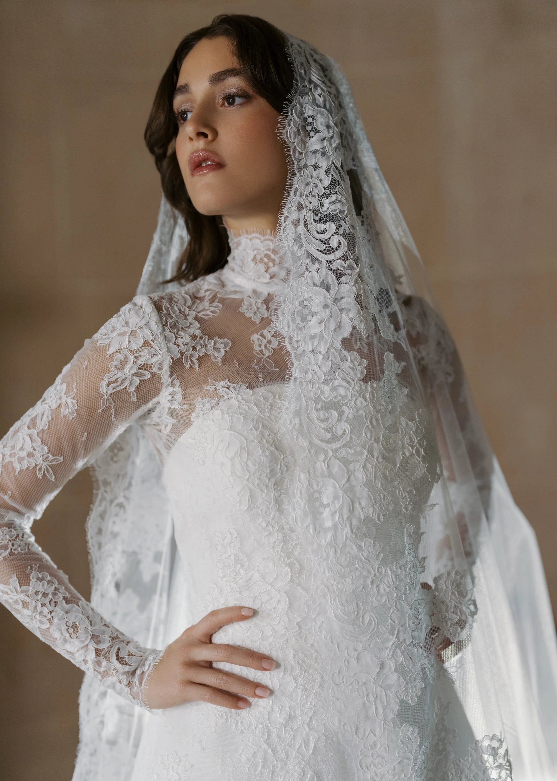 The Blue Willow Collier Mockneck Topper is a long sleeve mockneck top of Corded Lace in Silk White. 