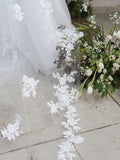 Fernbank Veil