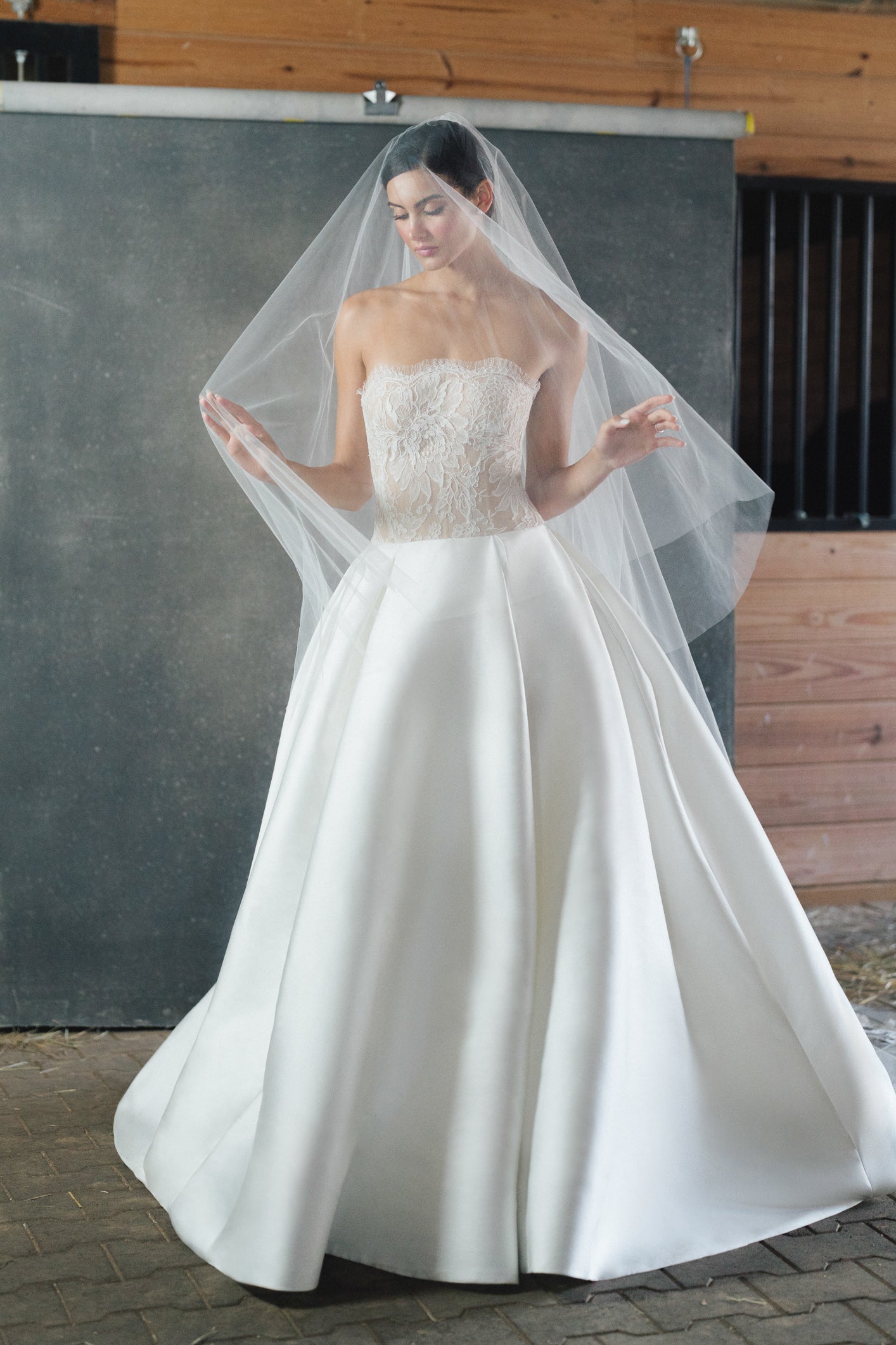 Wessex Veil