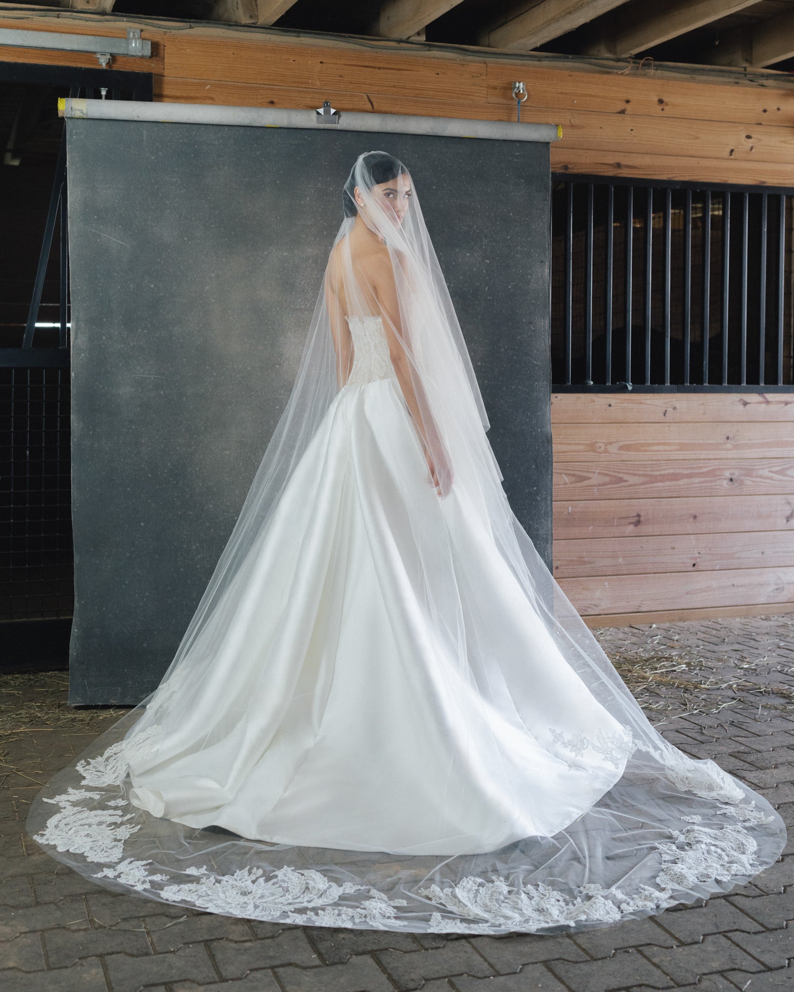 Wessex Veil